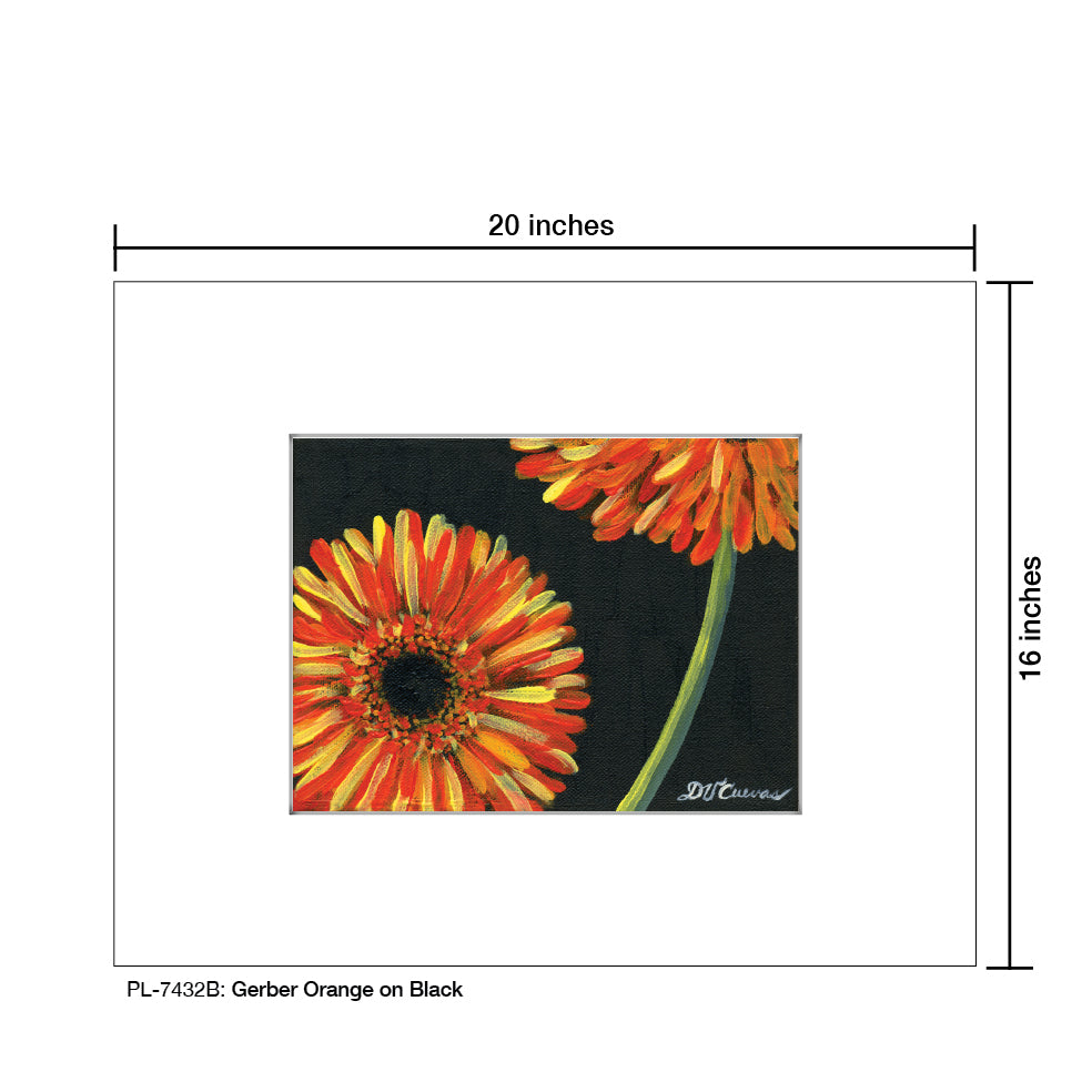 Gerber Orange On Black 2, Print (#7432B) - Printed Canvas