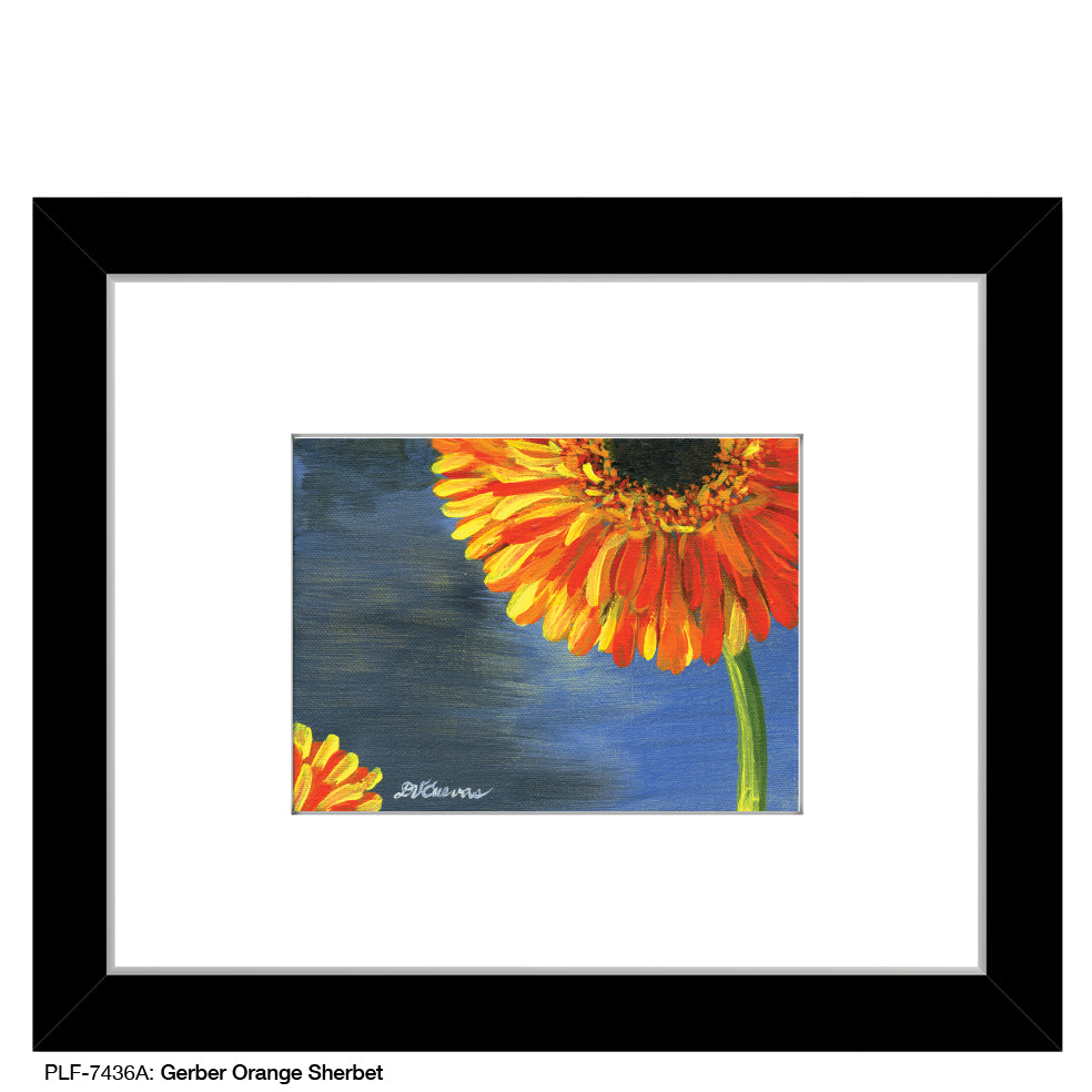 Gerber Orange Sherbet, Print (#7436A) - Printed Canvas