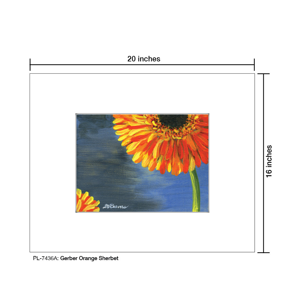 Gerber Orange Sherbet, Print (#7436A) - Printed Canvas