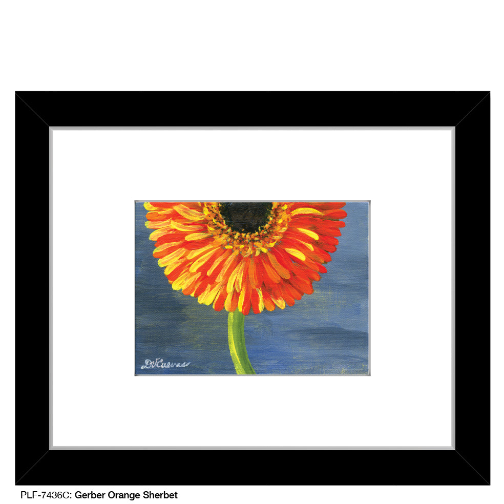 Gerber Orange Sherbet, Print (#7436C) - Printed Canvas