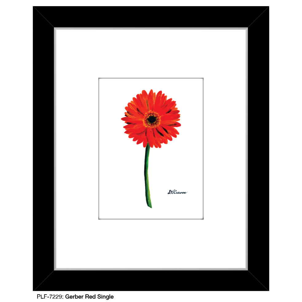 Gerber Red Single, Print (#7229) - Printed Canvas
