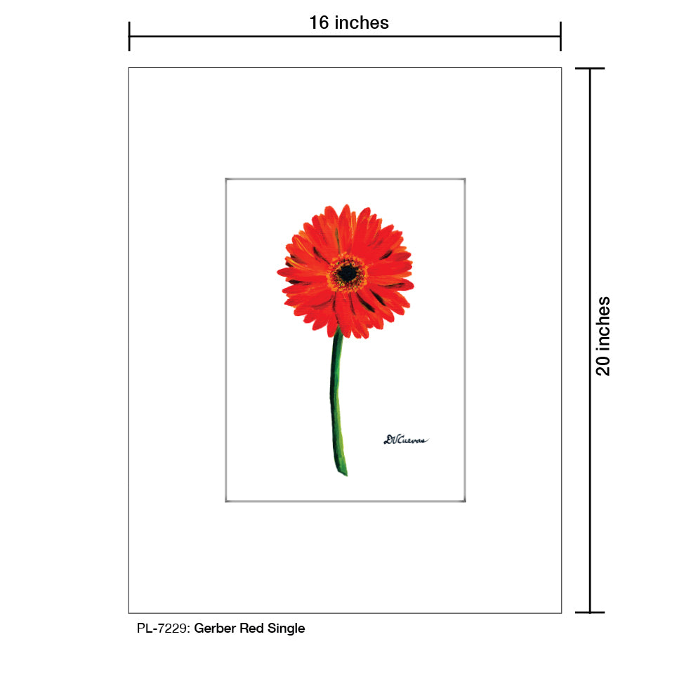 Gerber Red Single, Print (#7229) - Printed Canvas