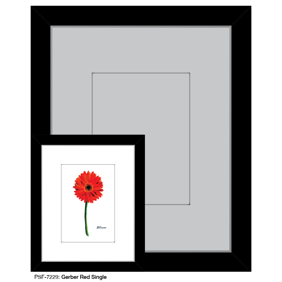 Gerber Red Single, Print (#7229) - Printed Canvas