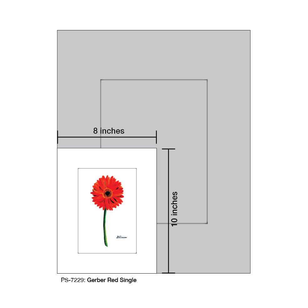 Gerber Red Single, Print (#7229) - Printed Canvas