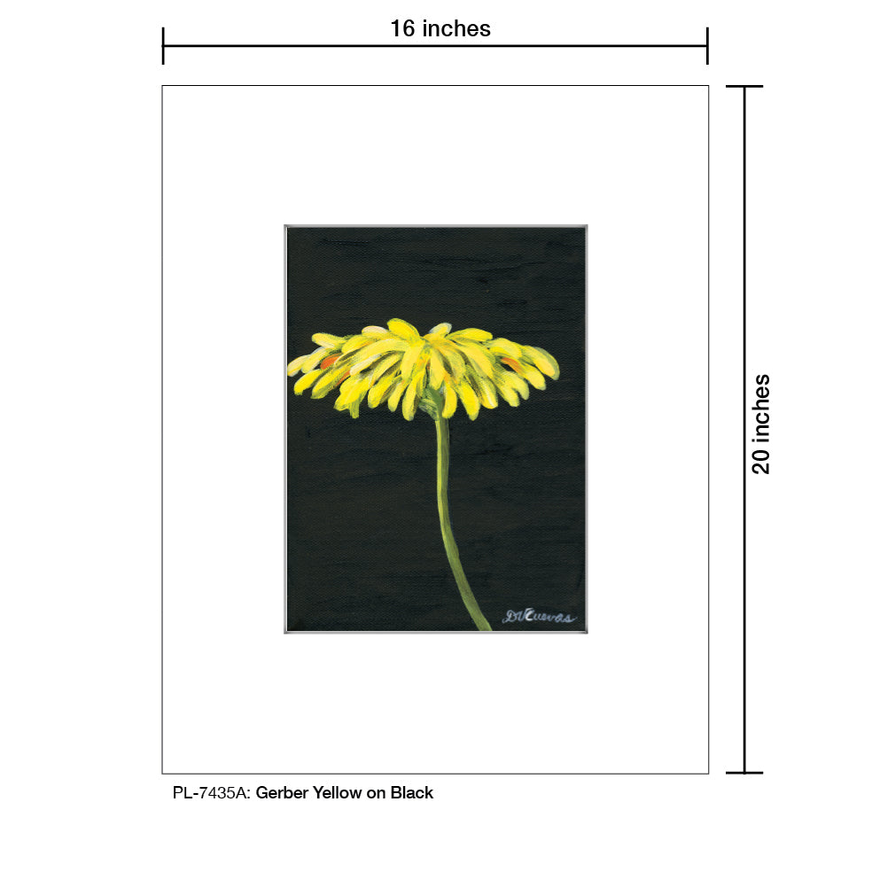 Gerber Yellow On Black 1, Print (#7435A) - Printed Canvas