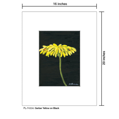 Gerber Yellow On Black 1, Print (#7435A) - Printed Canvas
