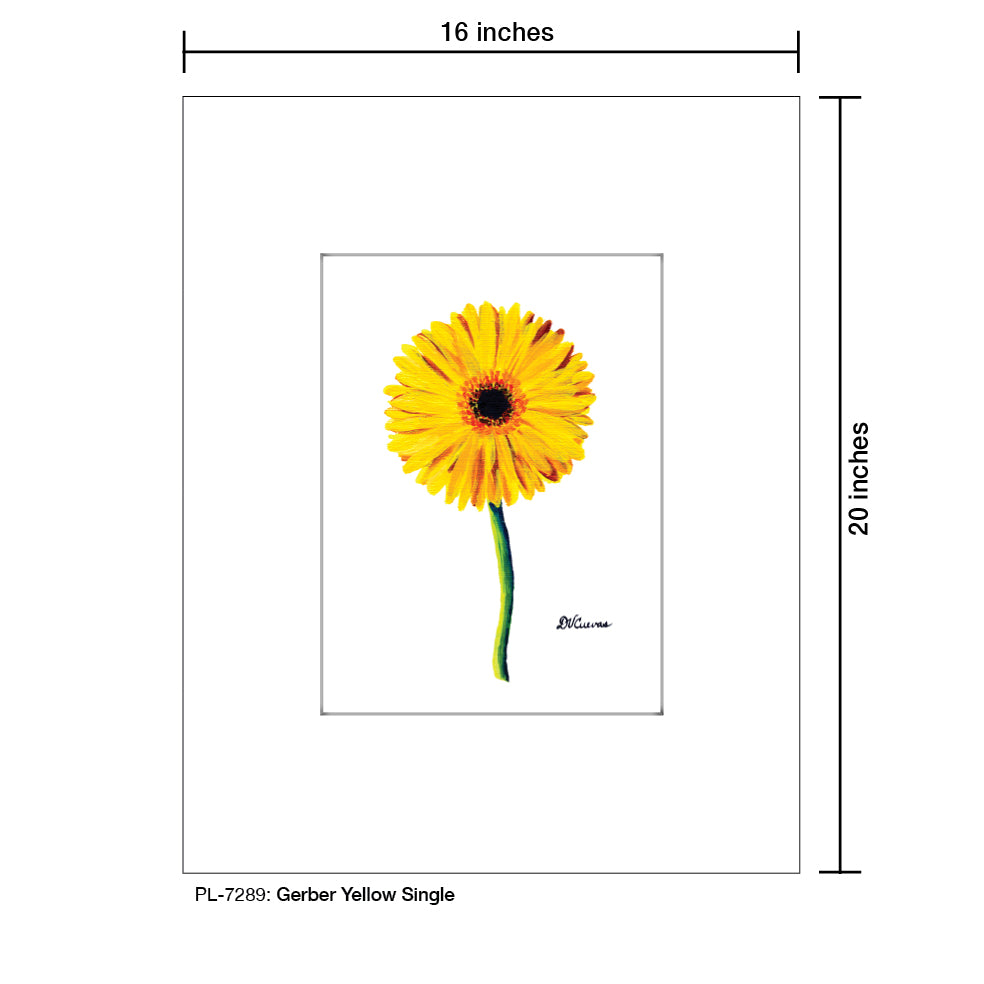 Gerber Yellow Single, Print (#7289) - Printed Canvas