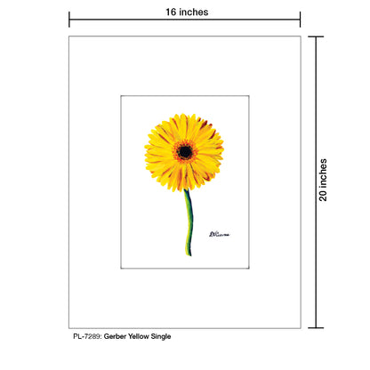 Gerber Yellow Single, Print (#7289) - Printed Canvas