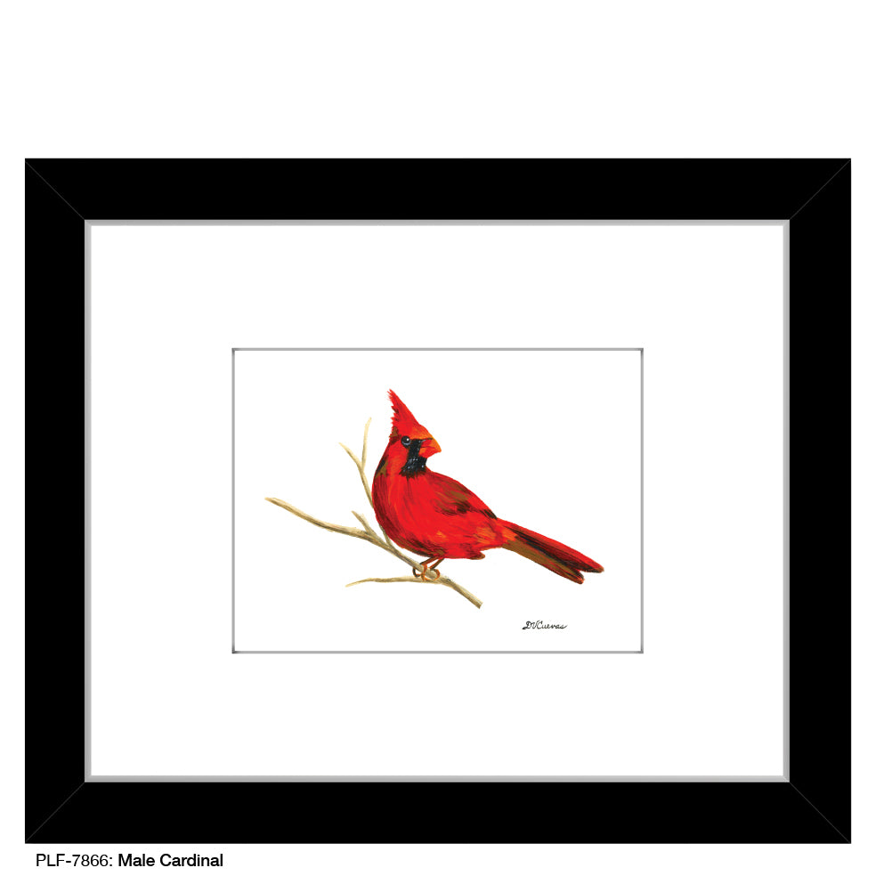 Male Cardinal, Print (#7866) - Printed Canvas
