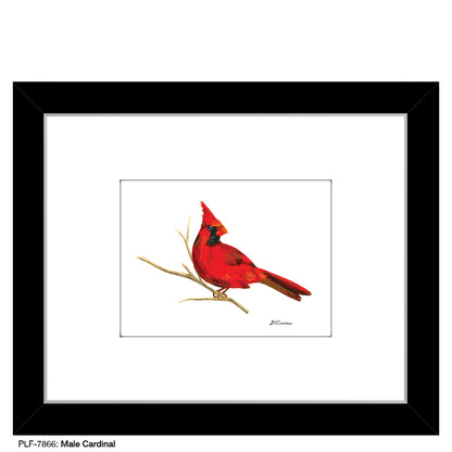 Male Cardinal, Print (#7866) - Printed Canvas