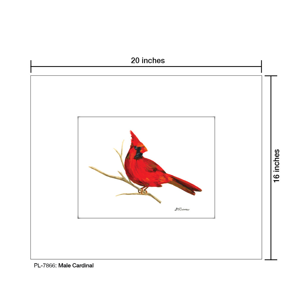 Male Cardinal, Print (#7866) - Printed Canvas