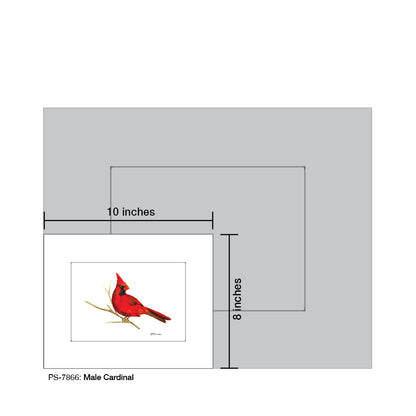 Male Cardinal, Print (#7866) - Printed Canvas