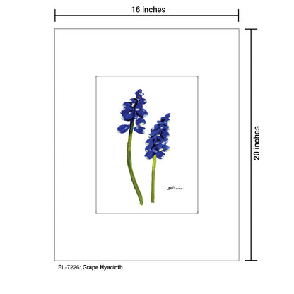 Grape Hyacinth, Print (#7226) - Printed Canvas