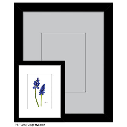 Grape Hyacinth, Print (#7226) - Printed Canvas