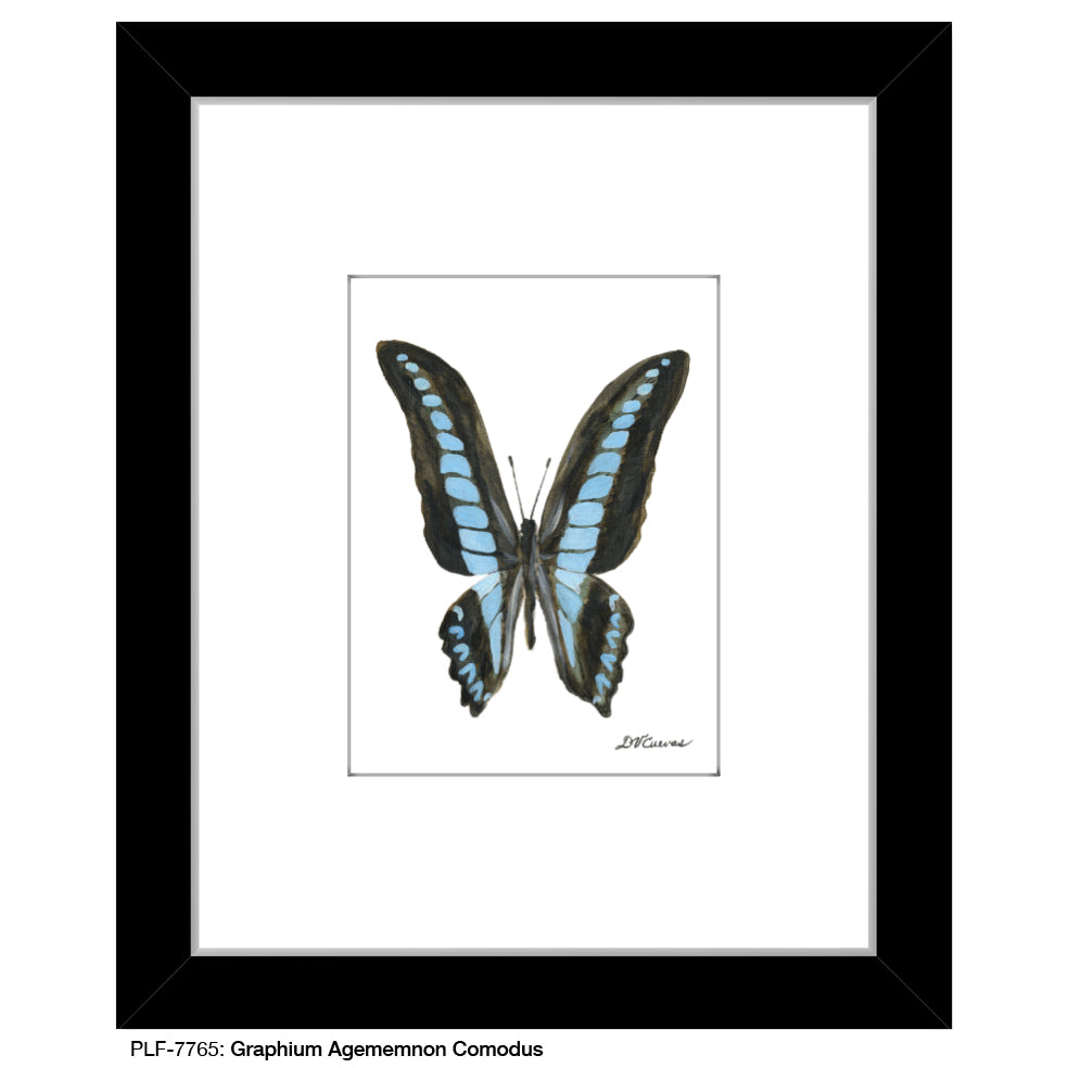 Graphium Agememnon Comodus, Print (#7765) - Printed Canvas
