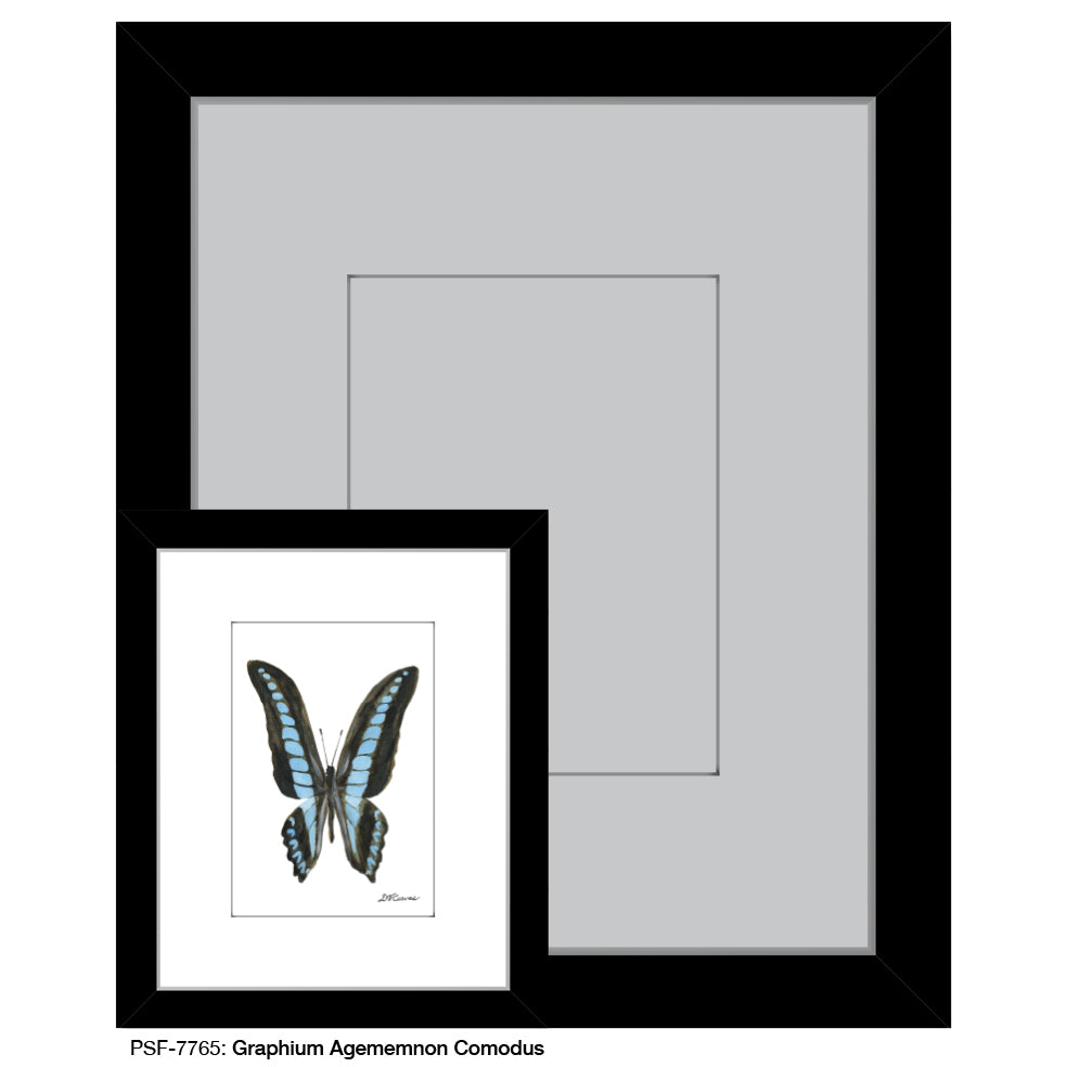 Graphium Agememnon Comodus, Print (#7765) - Printed Canvas