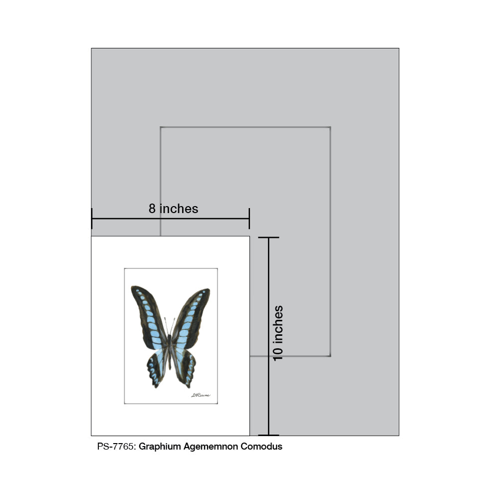 Graphium Agememnon Comodus, Print (#7765) - Printed Canvas