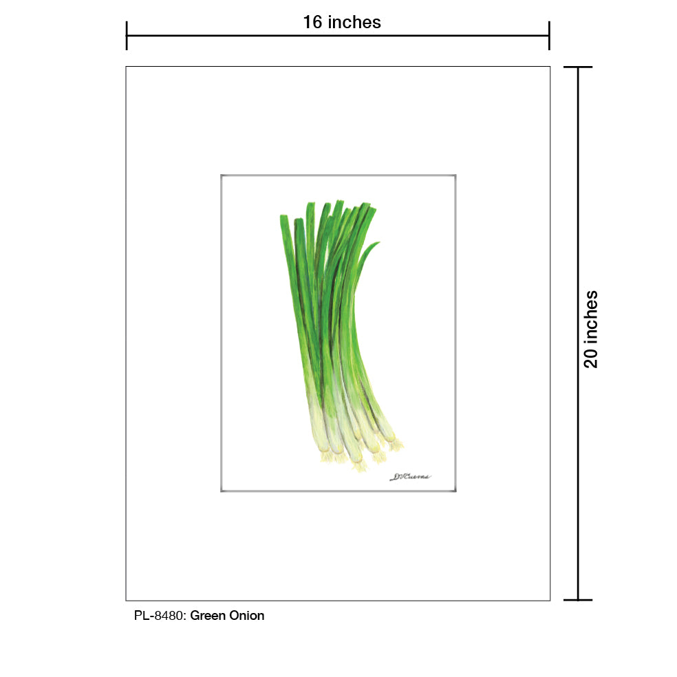 Green Onion, Print (#8480B), Printe Matted, www.printedcanvas.com