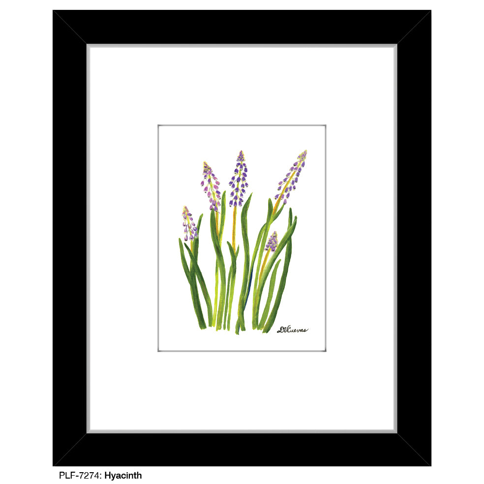 Hyacinth, Print (#7274) - Printed Canvas