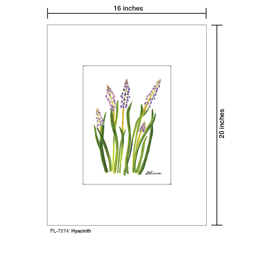 Hyacinth, Print (#7274) - Printed Canvas