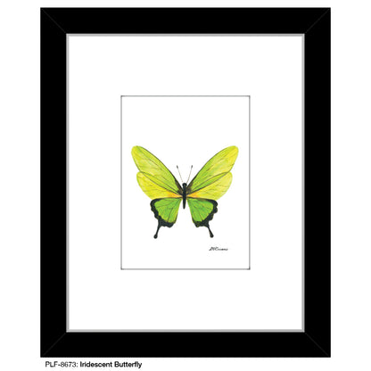 Iridescent Butterfly, Print (#8673D), Print Matted, www.printedcanvas.com