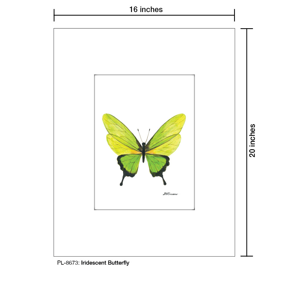 Iridescent Butterfly, Print (#8673D), Printe Matted, www.printedcanvas.com