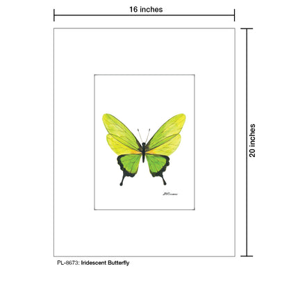 Iridescent Butterfly, Print (#8673D), Printe Matted, www.printedcanvas.com