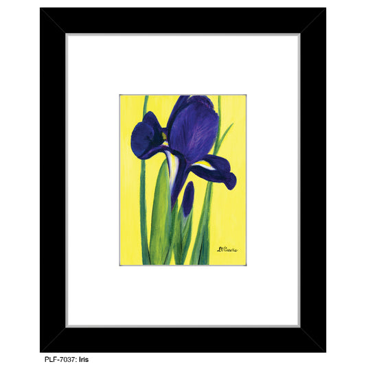 Iris, Print (#7037) - Printed Canvas