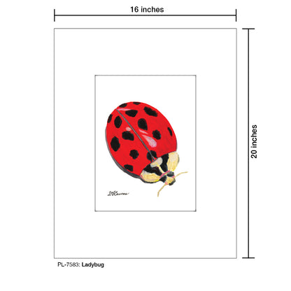Ladybug, Print (#7583A), Printe Matted, www.printedcanvas.com