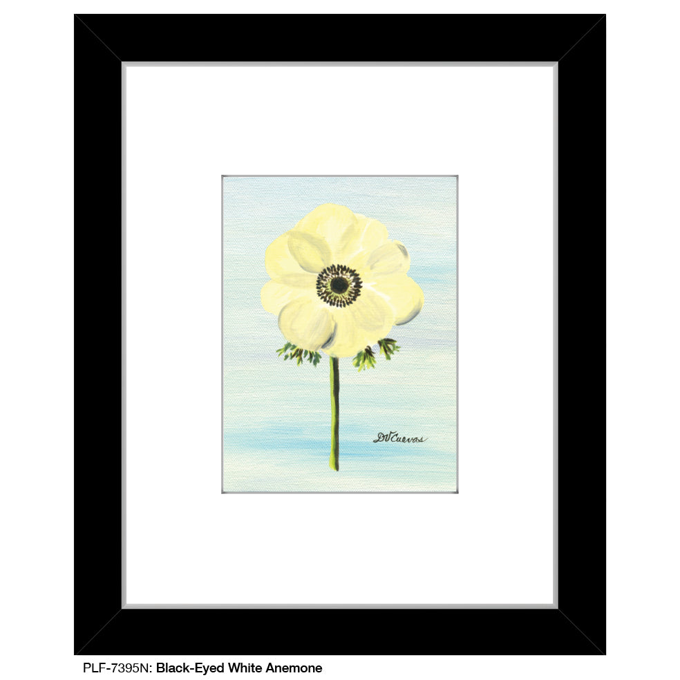 Black-Eyed White Anemone, Print (#7395N) - Printed Canvas