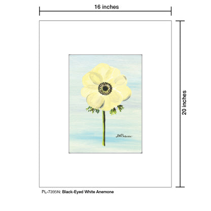 Black-Eyed White Anemone, Print (#7395N) - Printed Canvas