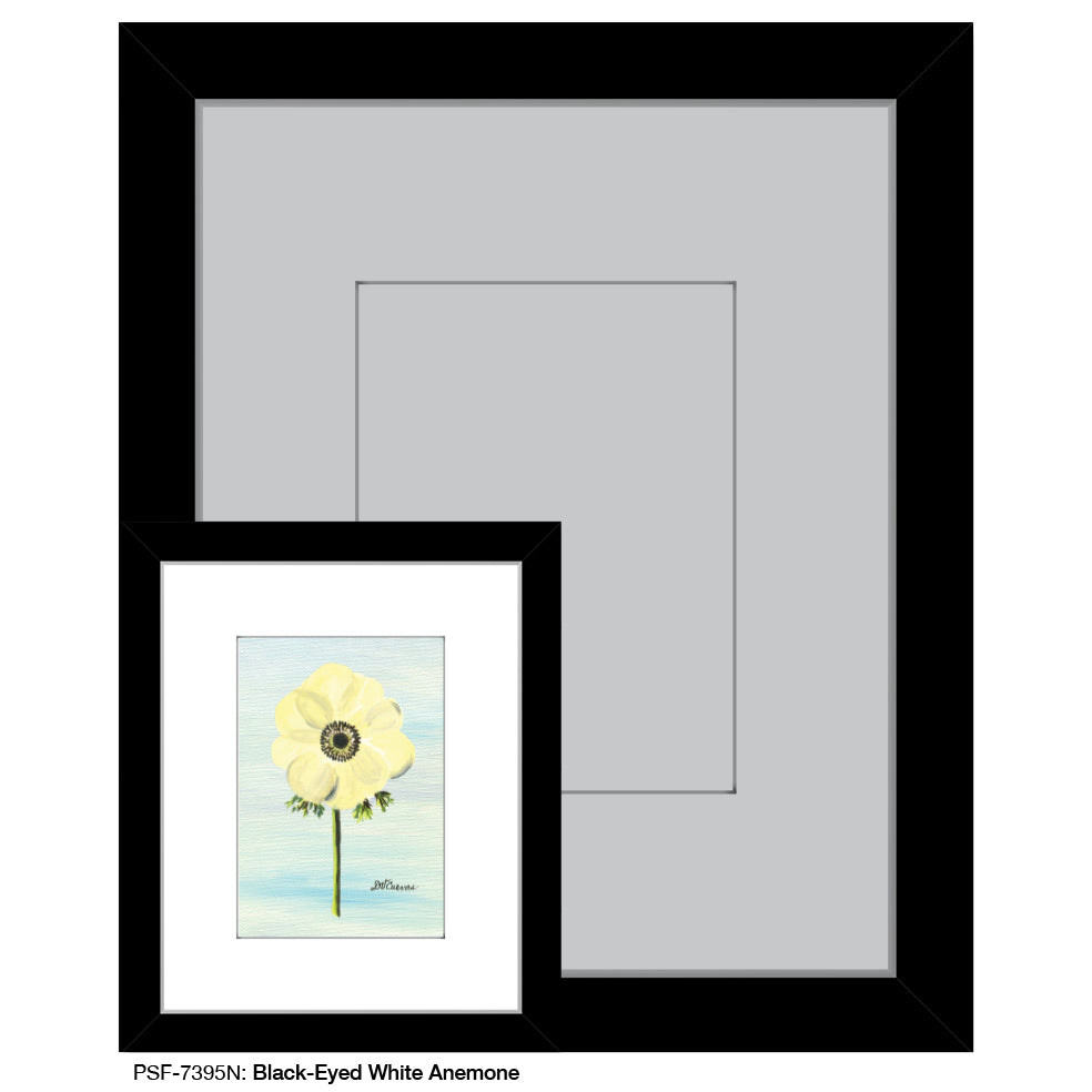 Black-Eyed White Anemone, Print (#7395N) - Printed Canvas