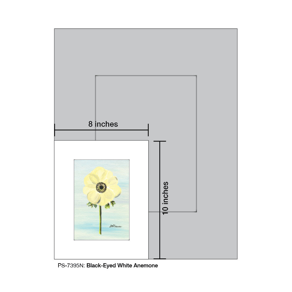 Black-Eyed White Anemone, Print (#7395N) - Printed Canvas