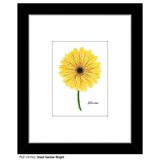 Giant Gerber Yellow, Print (#7417G) - Printed Canvas