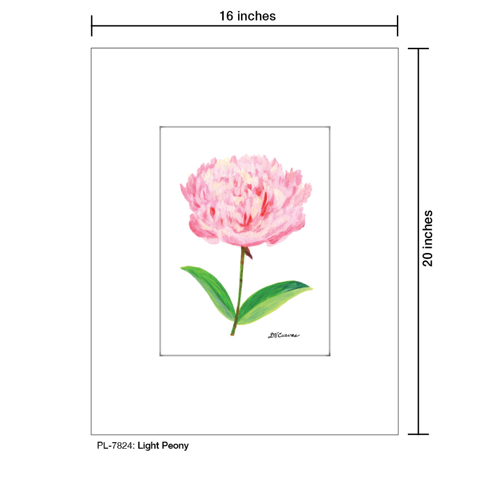 Light Peony, Print (#7824) - Printed Canvas