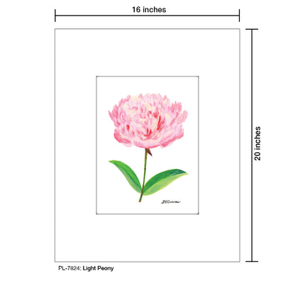 Light Peony, Print (#7824) - Printed Canvas