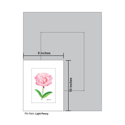 Light Peony, Print (#7824) - Printed Canvas