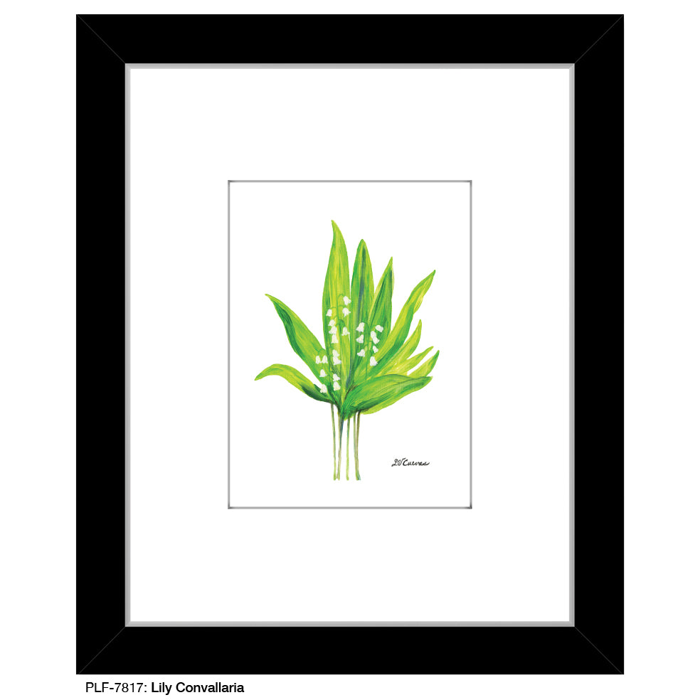 Lily Convallaria, Print (#7817) - Printed Canvas