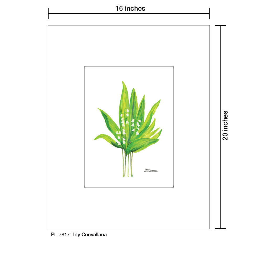 Lily Convallaria, Print (#7817) - Printed Canvas