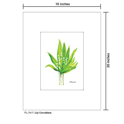 Lily Convallaria, Print (#7817) - Printed Canvas