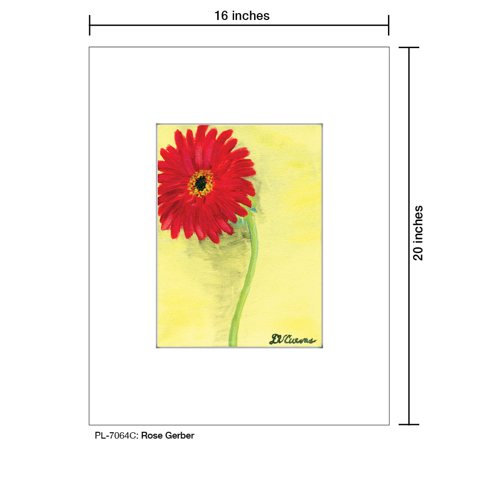 Rose Gerber, Print (#7064C) - Printed Canvas