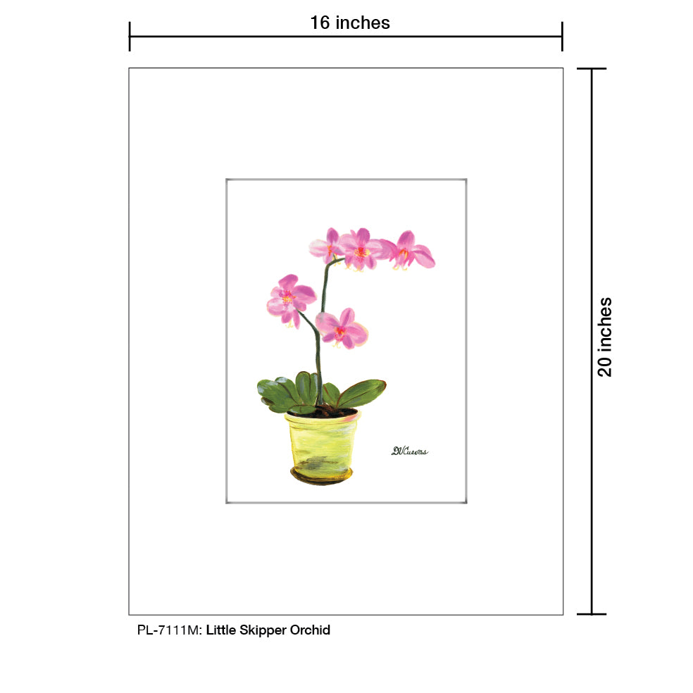 Little Skipper Orchid, Print (#7111M) - Printed Canvas