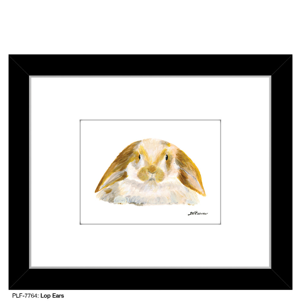 Lop Ears, Print (#7764D), Print Matted, www.printedcanvas.com