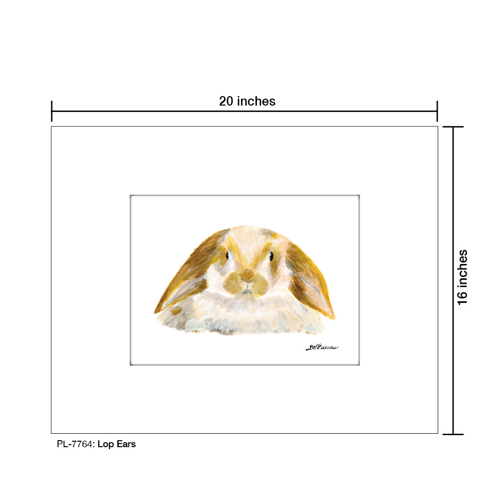 Lop Ears, Print (#7764D), Printe Matted, www.printedcanvas.com