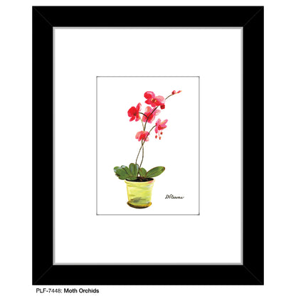 Moth Orchids, Print (#7448) - Printed Canvas