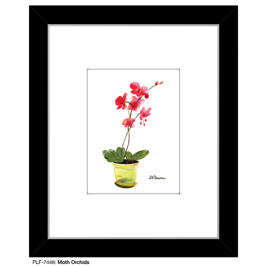 Moth Orchids, Print (#7448) - Printed Canvas