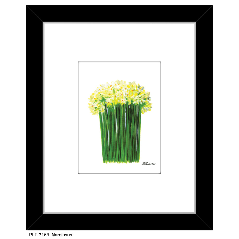 Narcissus, Print (#7168) - Printed Canvas