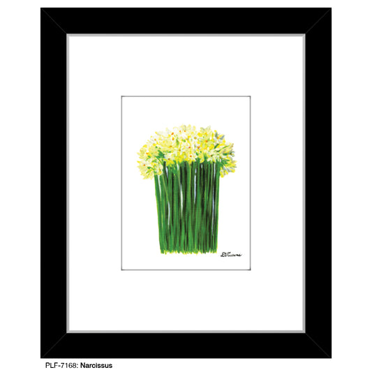 Narcissus, Print (#7168) - Printed Canvas