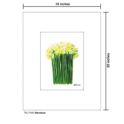 Narcissus, Print (#7168) - Printed Canvas
