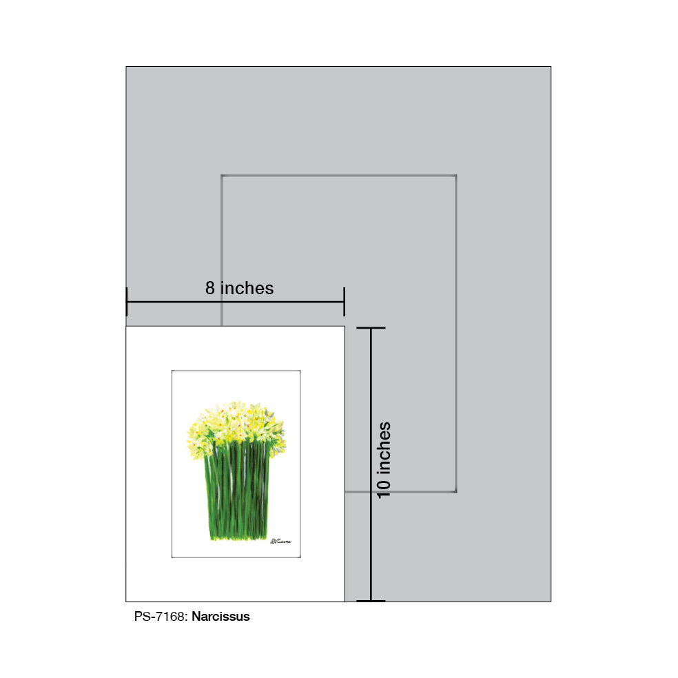 Narcissus, Print (#7168) - Printed Canvas